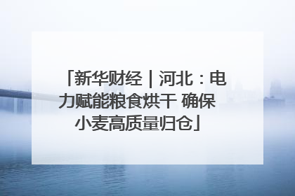 新华财经｜河北：电力赋能粮食烘干 确保小麦高质量归仓